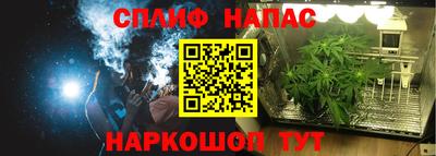 сатива Обь