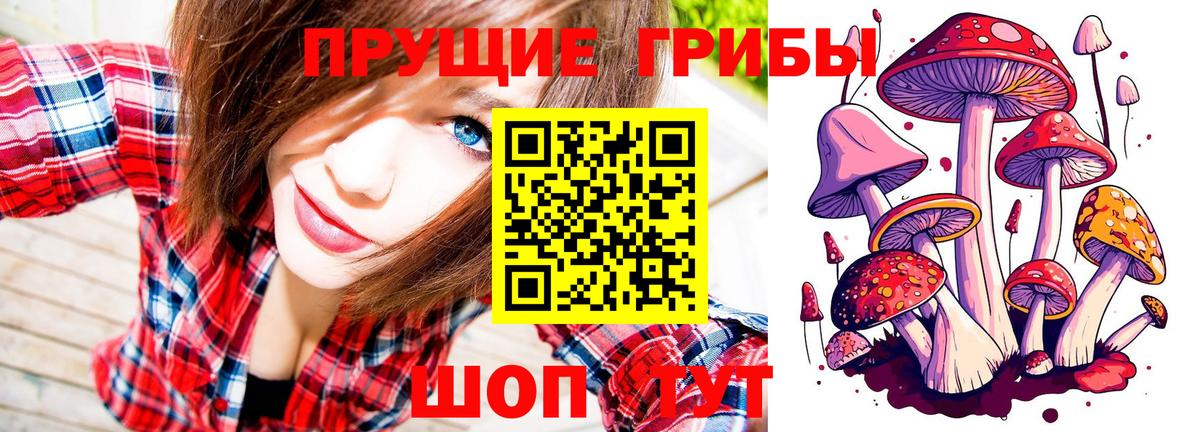 Псилоцибиновые грибы Psilocybe Рязань